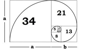 Sơ lược về công thức cược Fibonacci